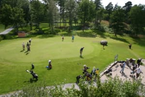 Greenfee